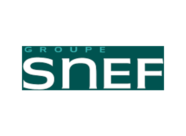 Logo Groupe Snef